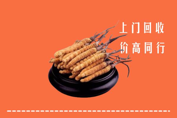 鄂尔多斯回收冬虫夏草